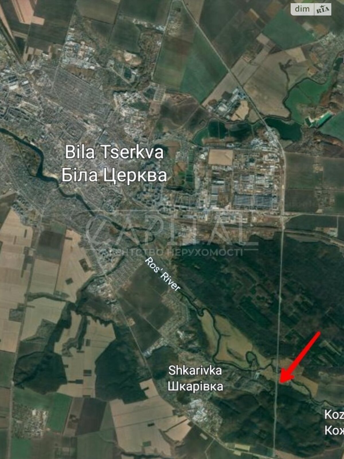 Земля під житлову забудову в Білій Церкві, район Хуторок, площа 60 соток фото 1