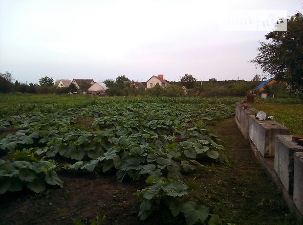 Продажа участка под жилую застройку, Киевская, Белая Церковь, c. Томиловка, Новоселов Продажа участка под жилую застройку, Киевская, Белая Церковь, c. Томиловка, Новоселов