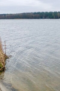 Земельна ділянка під житлову забудову в Трушках, площа 10 соток фото 2