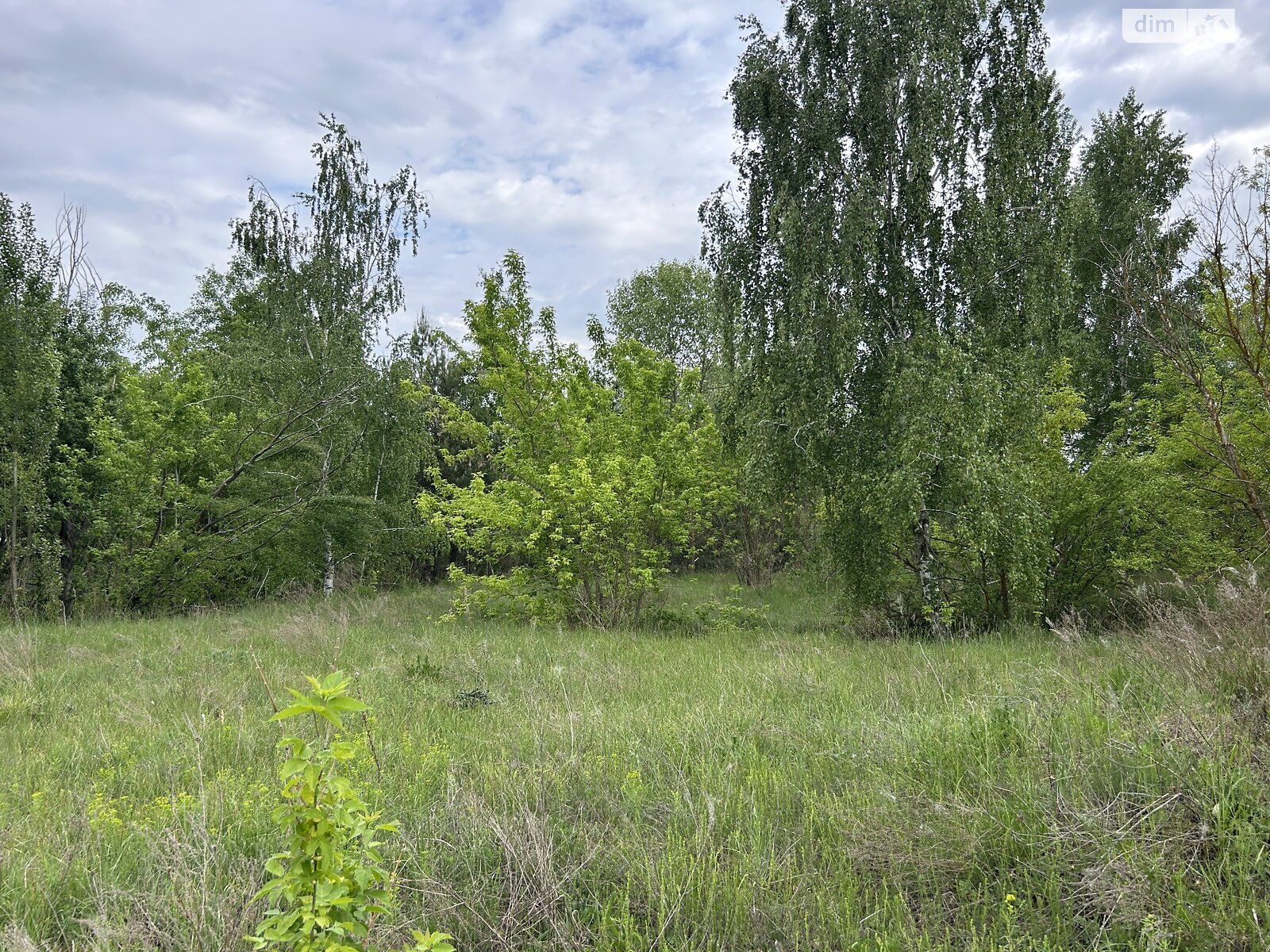 Земельный участок под жилую застройку в Белогородке, площадь 15 соток фото 1 Земельный участок под жилую застройку в Белогородке, площадь 15 соток фото 1
