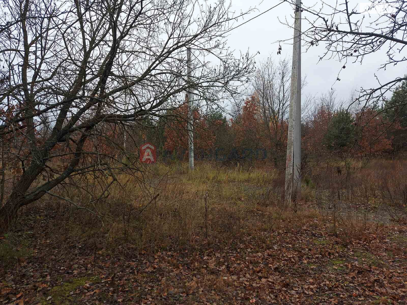 Земельна ділянка під житлову забудову в Білогородці, площа 19 соток фото 1
