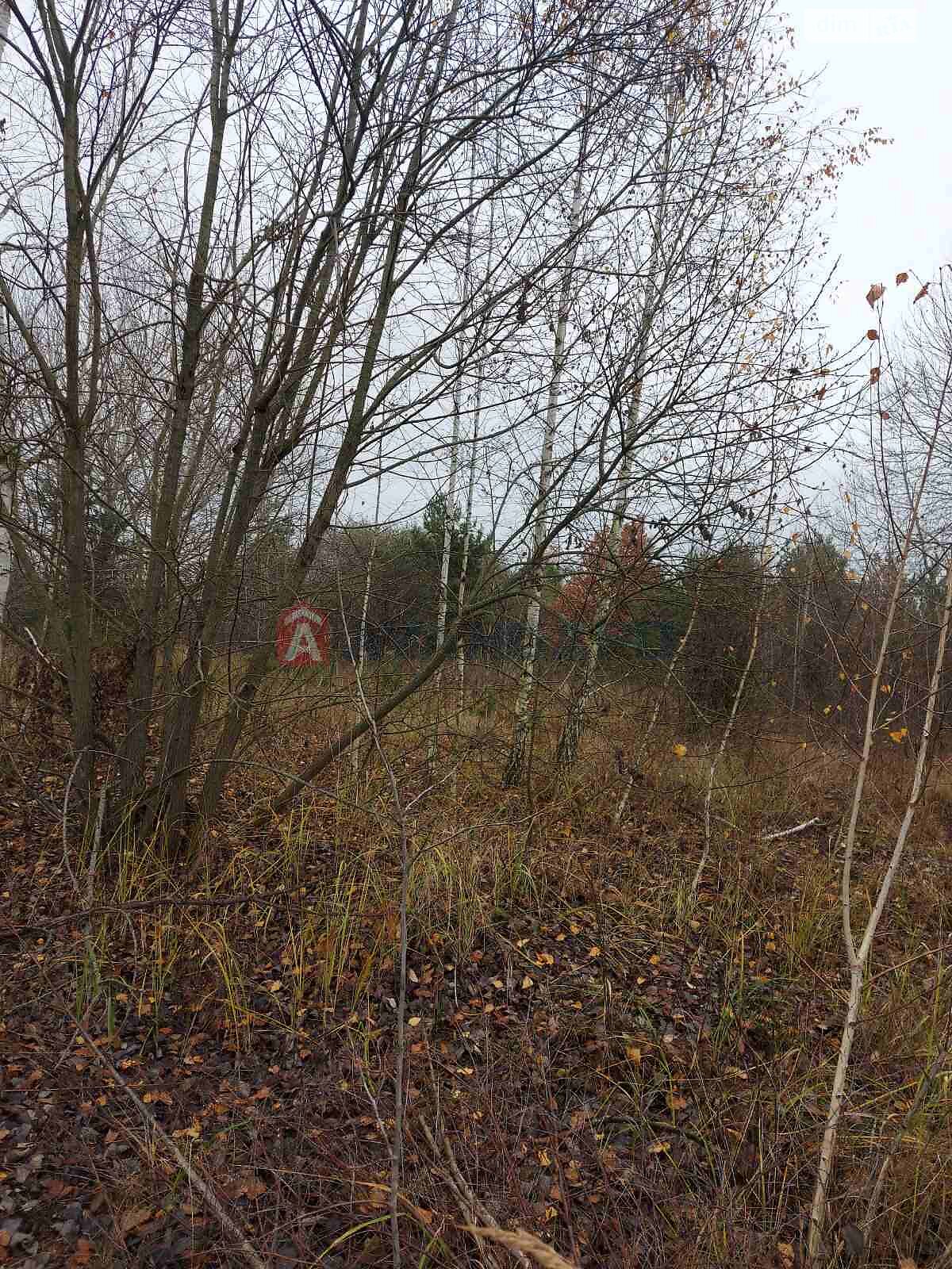 Земельна ділянка під житлову забудову в Білогородці, площа 19 соток фото 1