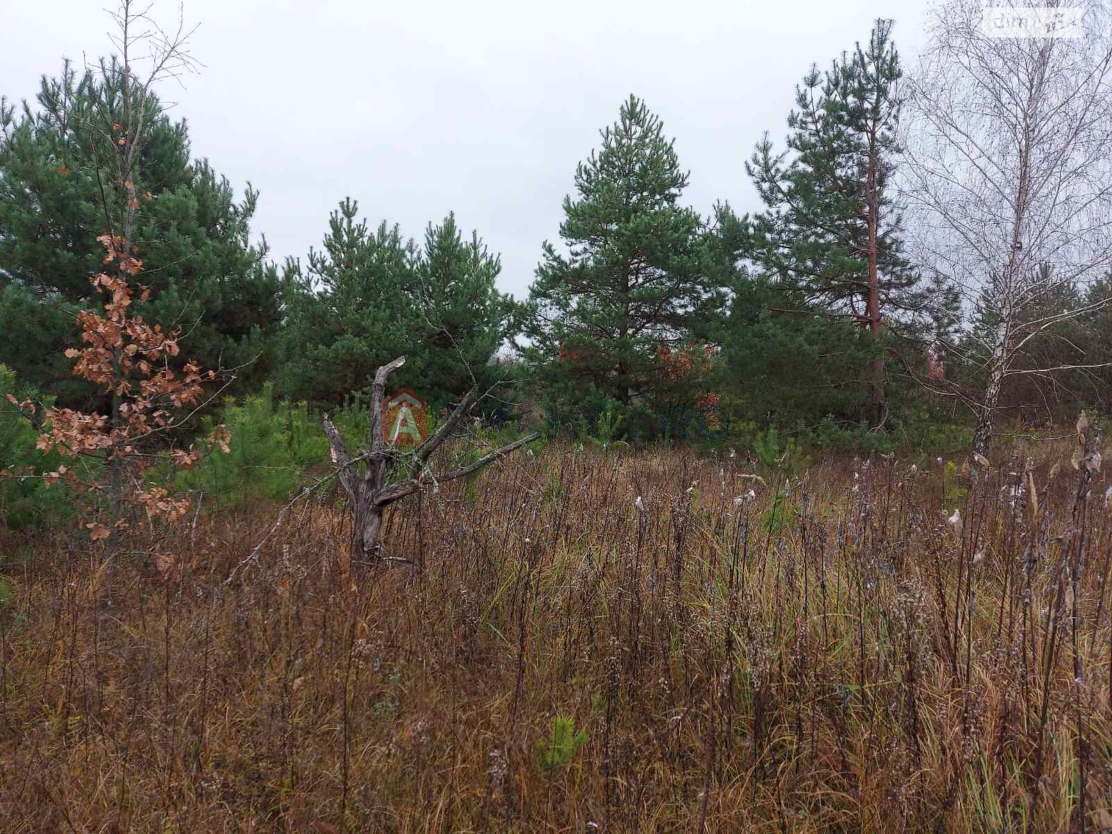 Земельна ділянка під житлову забудову в Білогородці, площа 19 соток фото 1