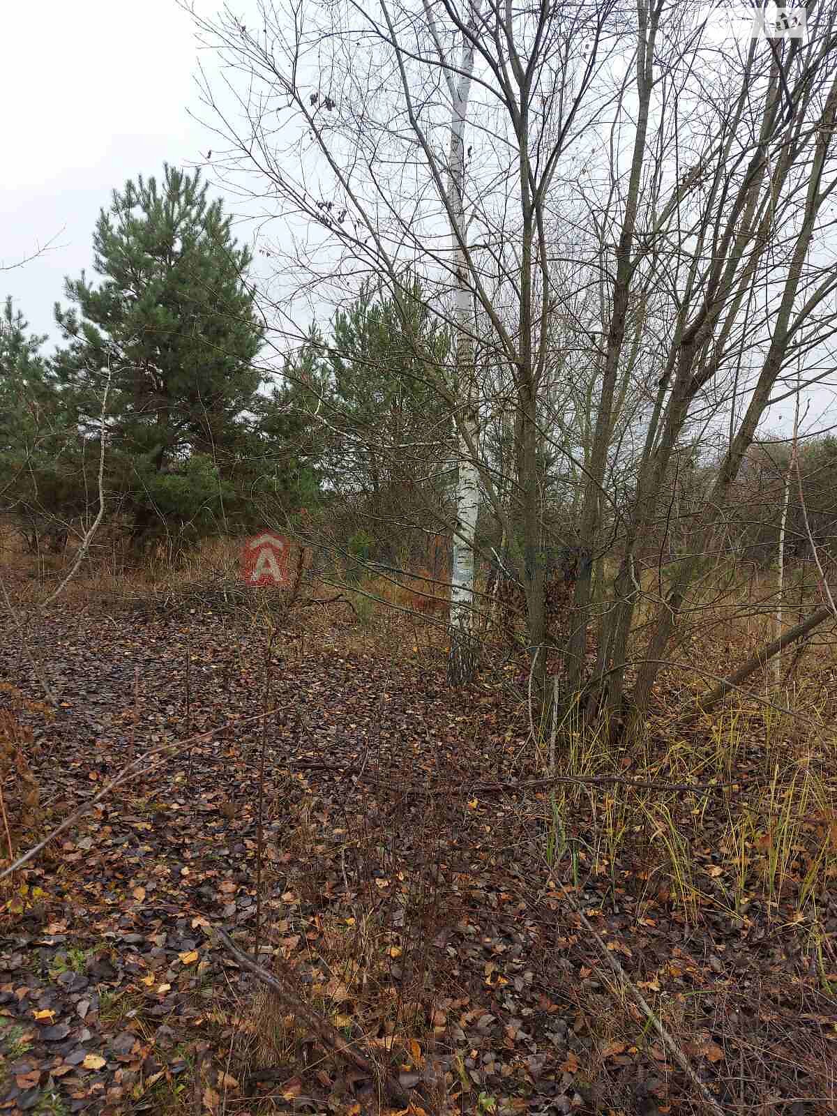 Земельна ділянка під житлову забудову в Білогородці, площа 19 соток фото 1