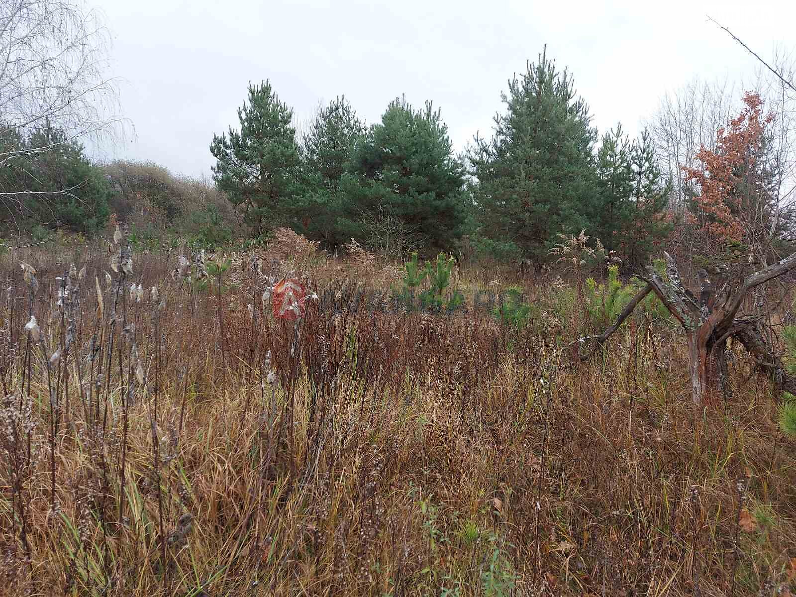 Земельна ділянка під житлову забудову в Білогородці, площа 19 соток фото 1