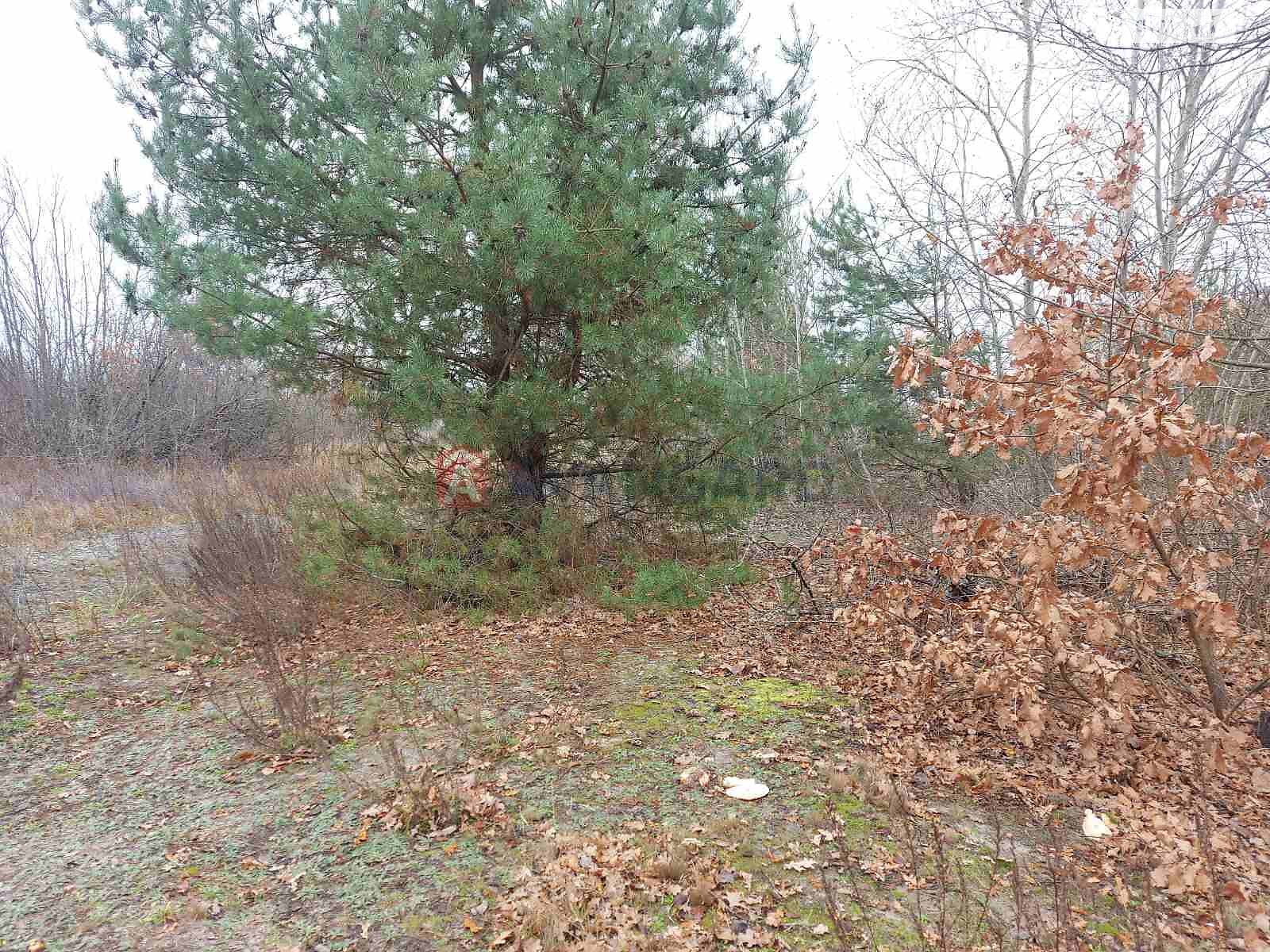 Земельна ділянка під житлову забудову в Білогородці, площа 19 соток фото 1