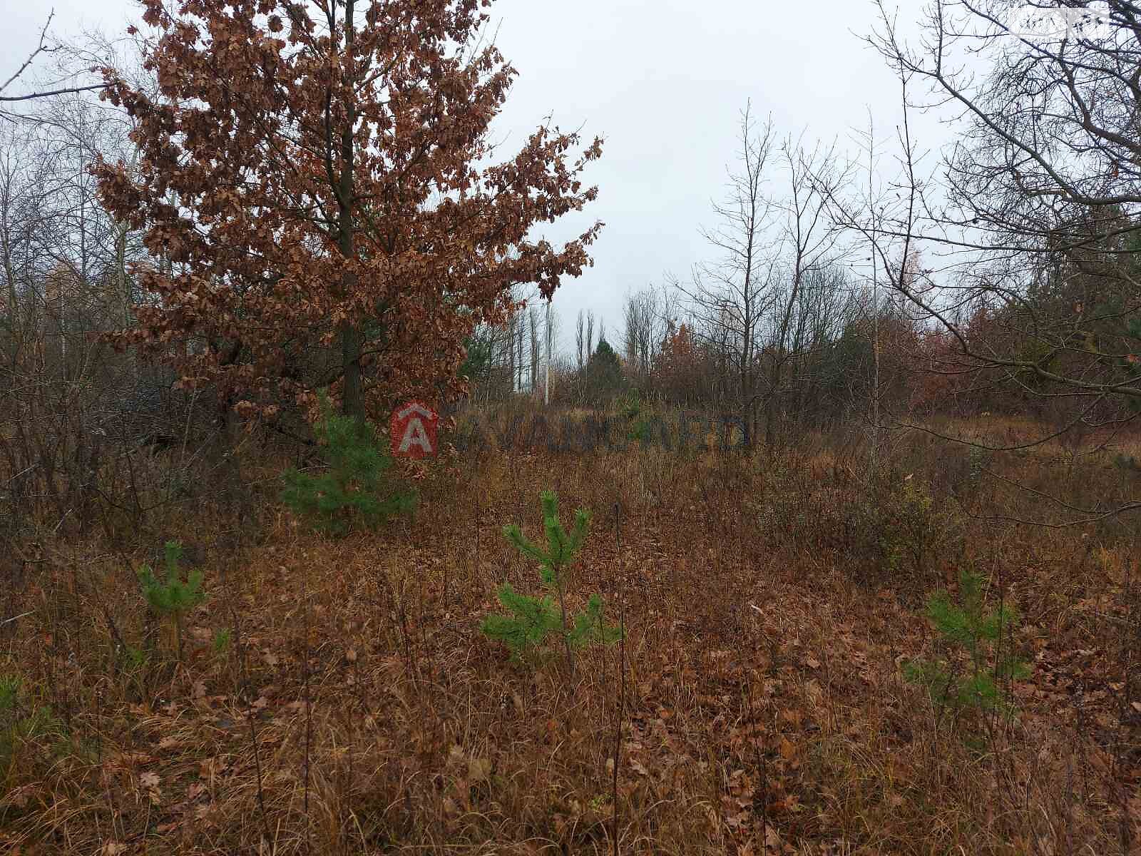 Земельна ділянка під житлову забудову в Білогородці, площа 19 соток фото 1