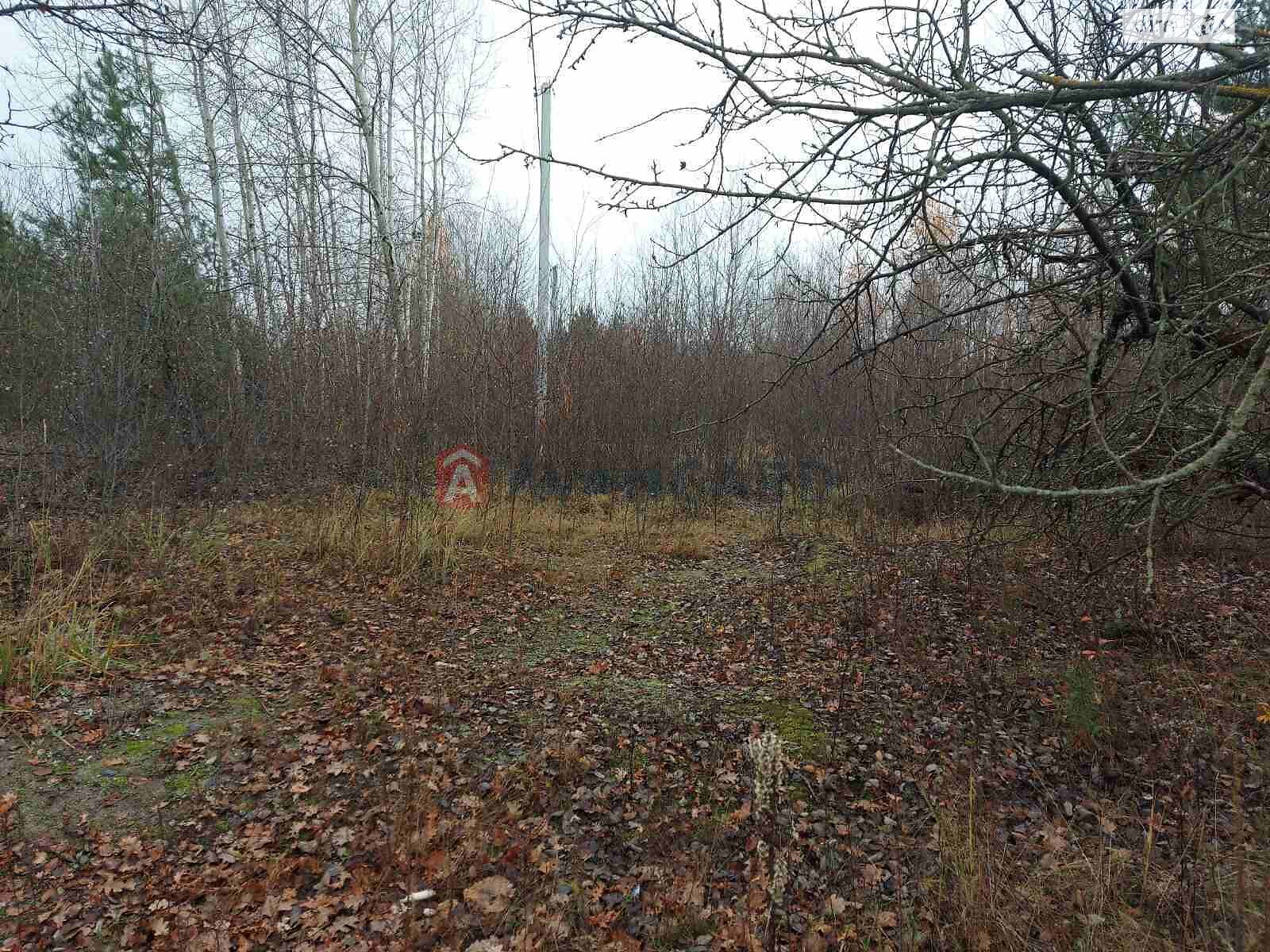 Земельна ділянка під житлову забудову в Білогородці, площа 19 соток фото 1