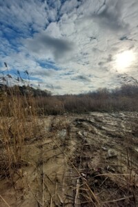 Земельный участок под жилую застройку в Белогородке, площадь 9 соток фото 2