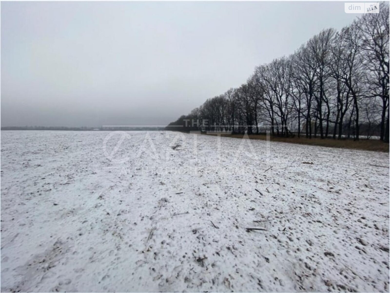 Земельна ділянка під житлову забудову в Білогородці, площа 120 соток фото 1 Земельна ділянка під житлову забудову в Білогородці, площа 120 соток фото 1