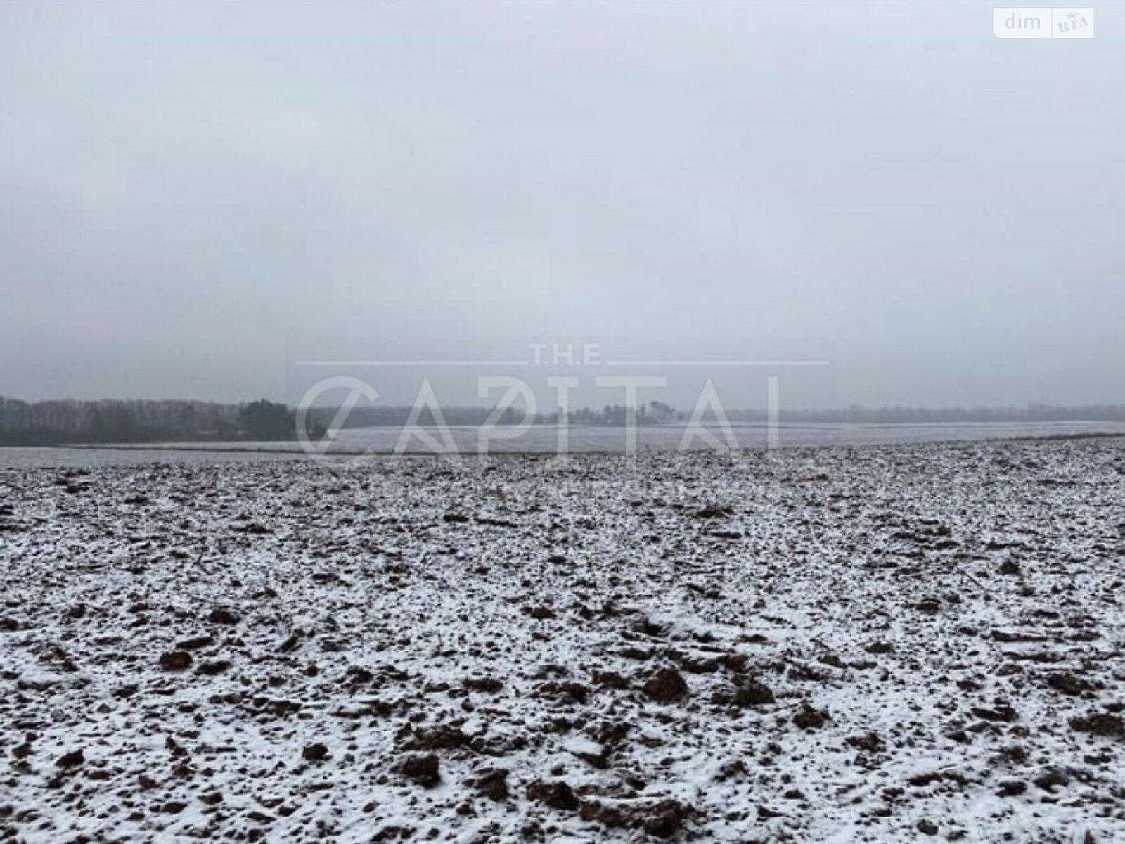 Земельный участок под жилую застройку в Белогородке, площадь 121 сотка фото 1 Земельный участок под жилую застройку в Белогородке, площадь 121 сотка фото 1