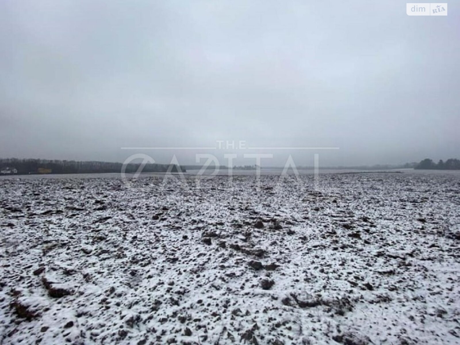 Земельный участок под жилую застройку в Белогородке, площадь 121 сотка фото 1 Земельный участок под жилую застройку в Белогородке, площадь 121 сотка фото 1