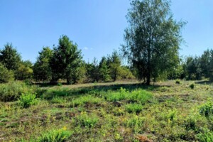 Земельна ділянка під житлову забудову в Білогородці, площа 19 соток фото 2