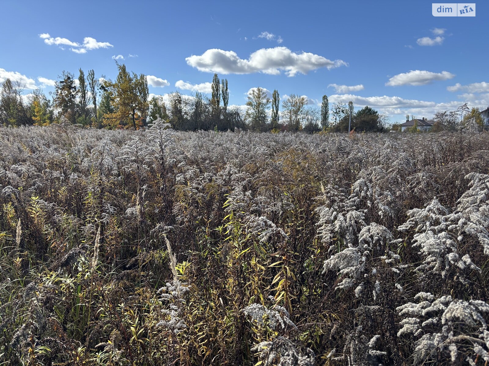 Земельна ділянка під житлову забудову в Білогородці, площа 18.98 сотки фото 1
