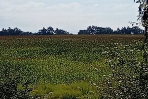 Земельна ділянка під житлову забудову в Білогородці, площа 1.751 Га фото 1