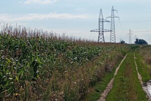 Земельный участок под жилую застройку в Белогородке, площадь 1.7862 Га фото 1