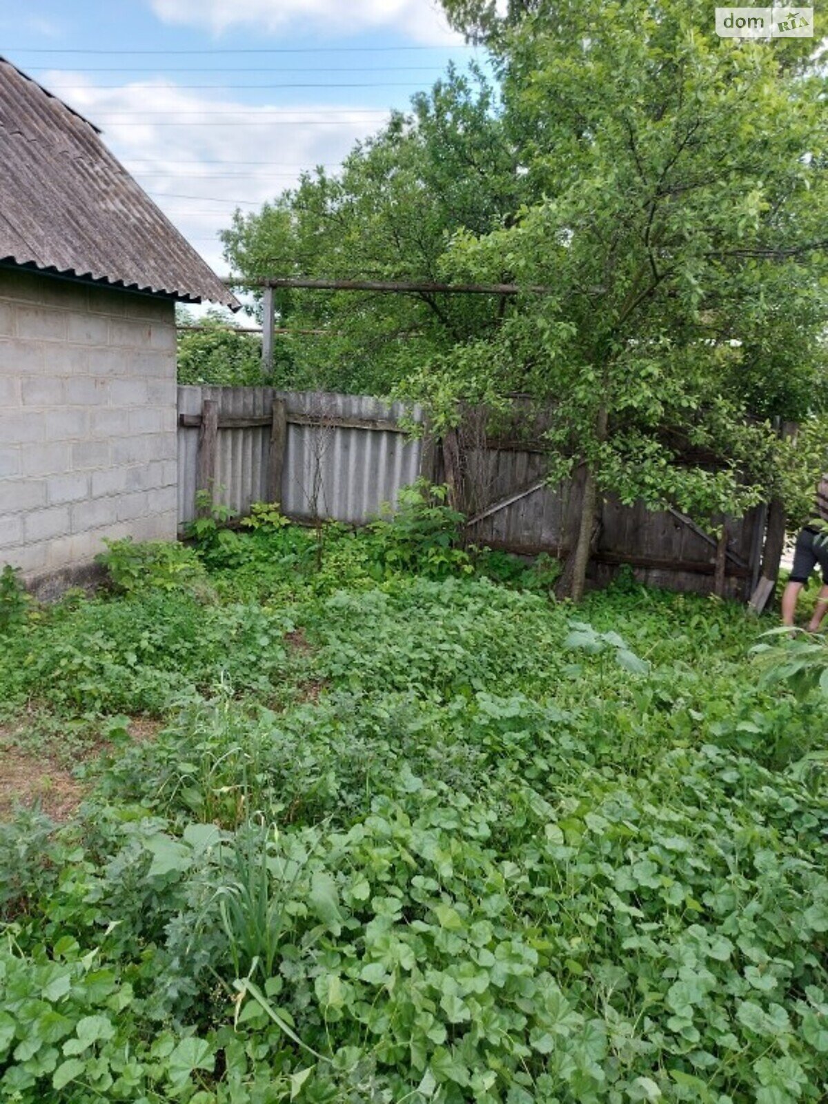 Земля під житлову забудову в Біловодську, район Біловодськ, площа 12 соток фото 1