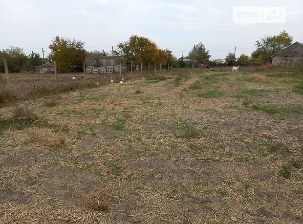Земля под жилую застройку в селе Музиковка, площадь 10 соток фото 1 Земля под жилую застройку в селе Музиковка, площадь 10 соток фото 1