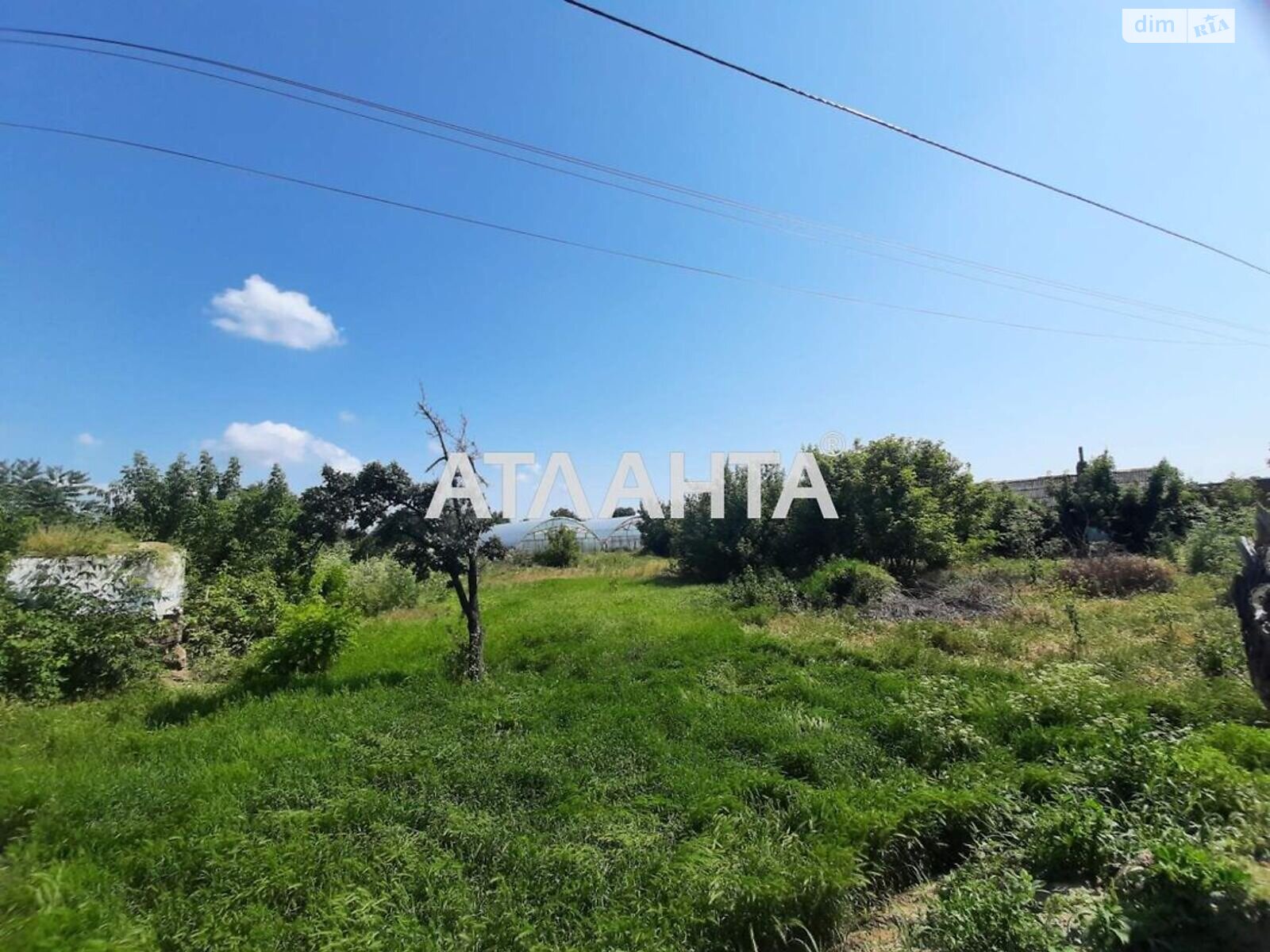 Земля під житлову забудову в Біляївці, район Біляївка, площа 21.23 сотки фото 1