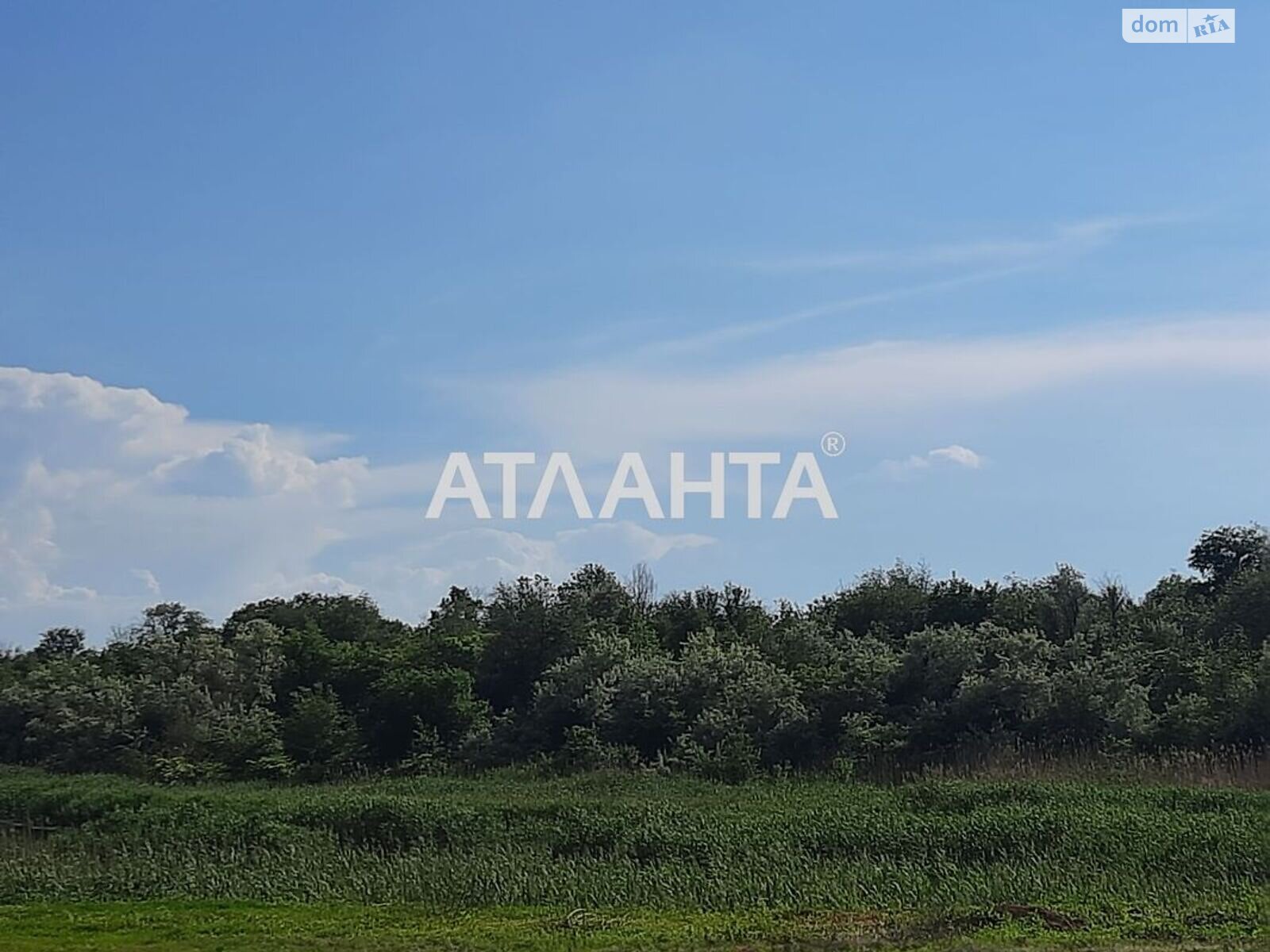 Земельна ділянка під житлову забудову в Великому Дальнику, площа 20 соток фото 1