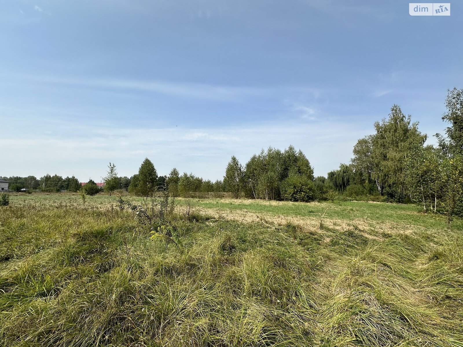 Земельна ділянка під житлову забудову в Берестянці, площа 20 соток фото 1 Земельна ділянка під житлову забудову в Берестянці, площа 20 соток фото 1