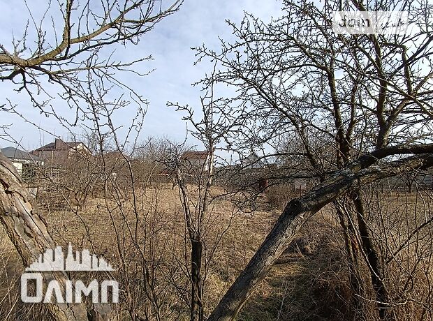 Земельна ділянка під житлову забудову в Березіній, площа 5 соток фото 1 Земельна ділянка під житлову забудову в Березіній, площа 5 соток фото 1