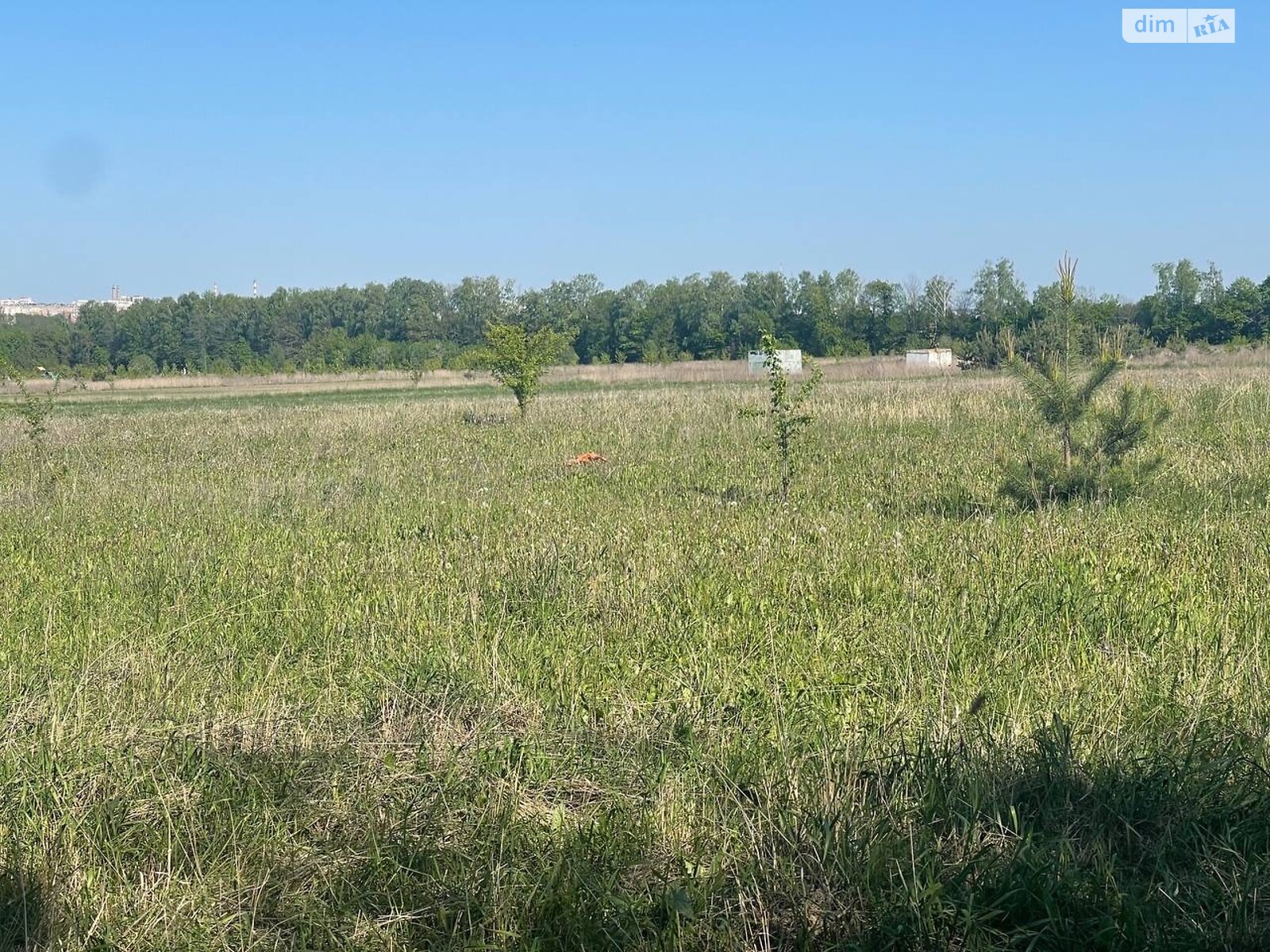 Земельна ділянка під житлову забудову в Березині, площа 18.6 сотки фото 1