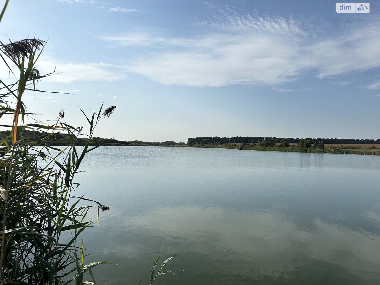 Земельна ділянка під житлову забудову в Березині, площа 69.9 сотки фото 1