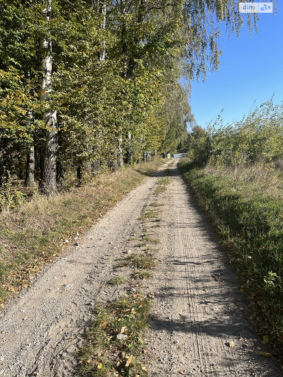 Земля під житлову забудову в Березині, площа 70 соток фото 1 Земля під житлову забудову в Березині, площа 70 соток фото 1