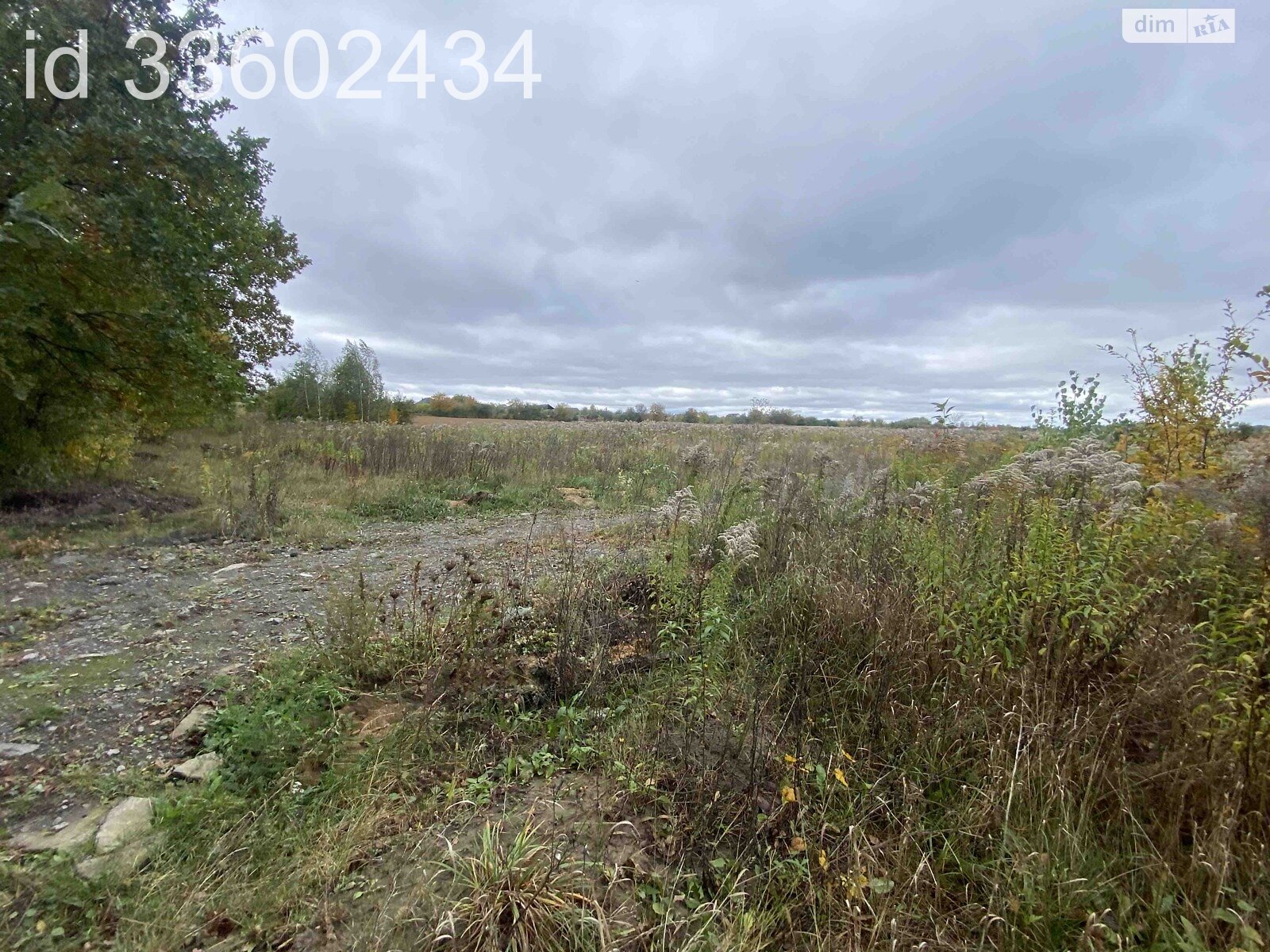 Земля під житлову забудову в Березині, площа 75 соток фото 1