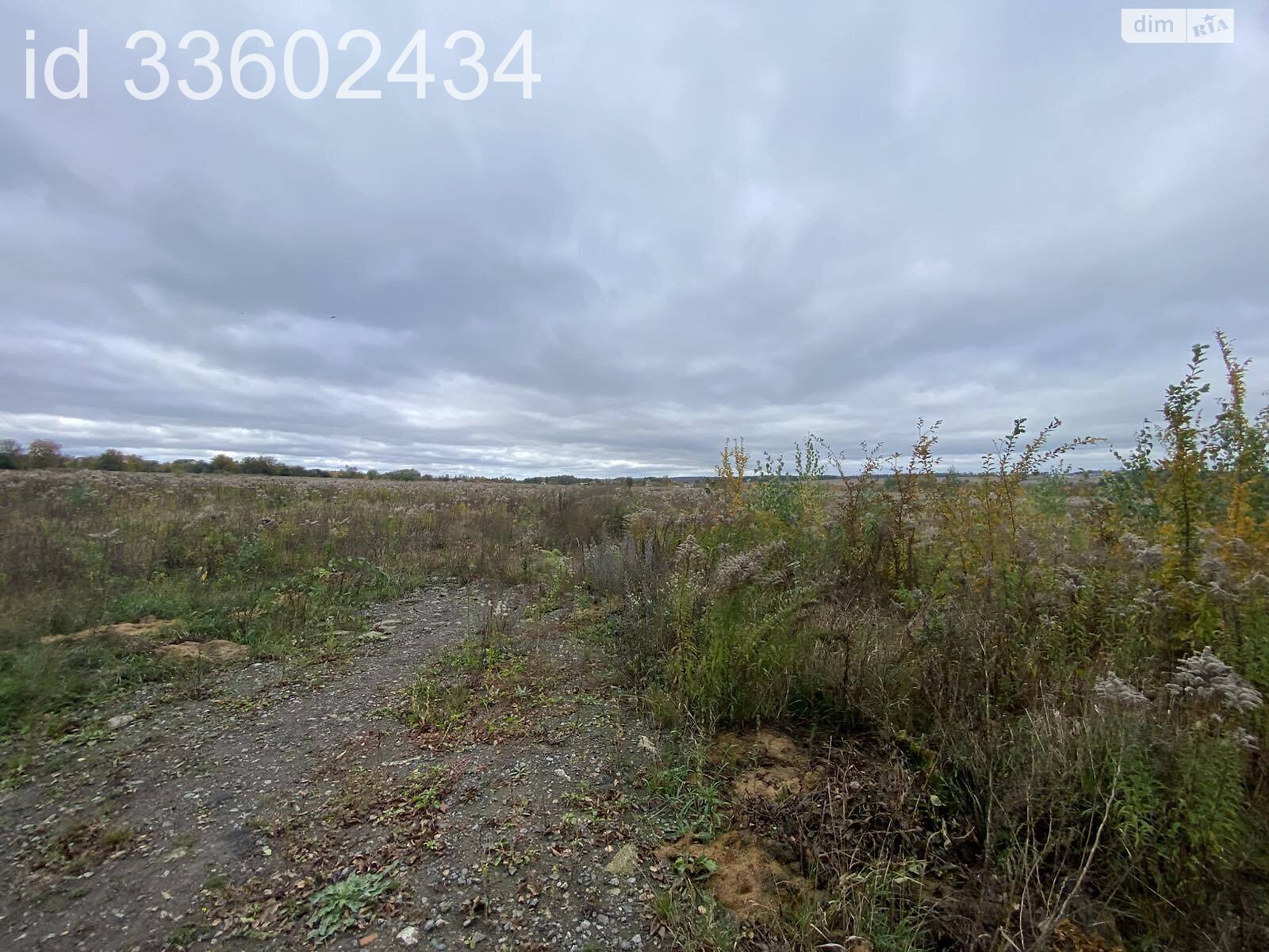 Земля під житлову забудову в Березині, площа 75 соток фото 1