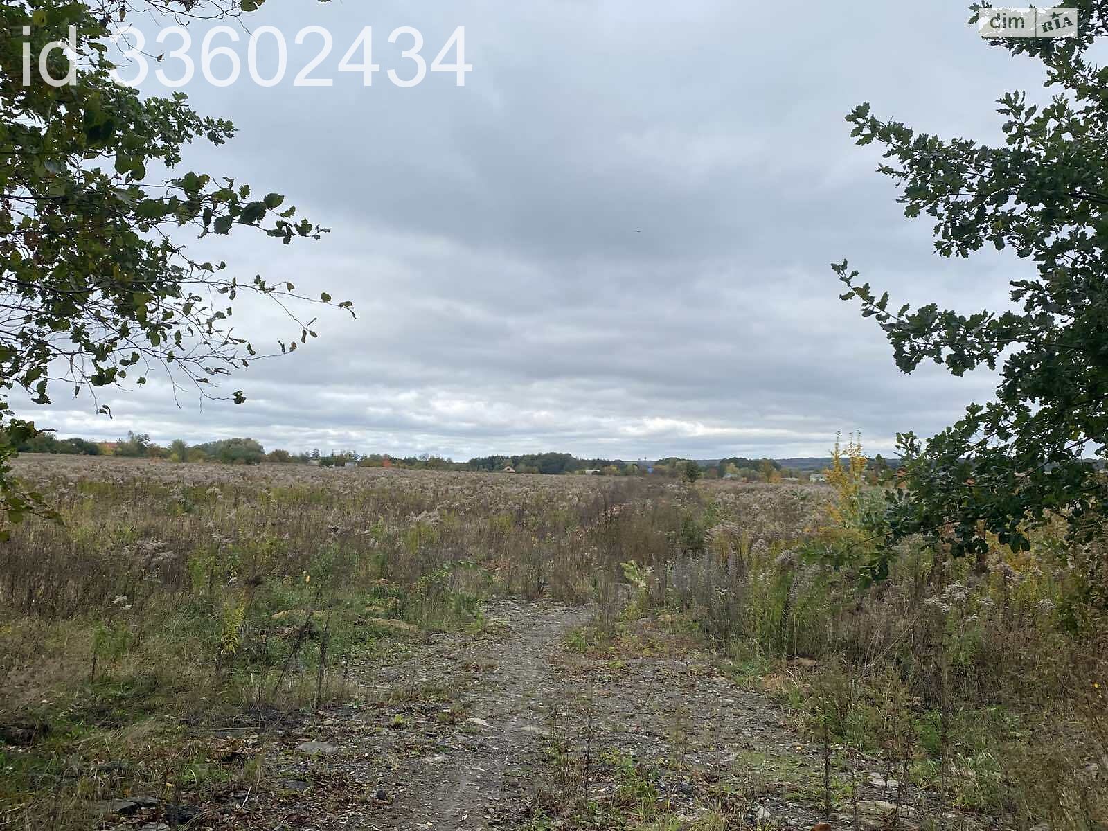 Земля під житлову забудову в Березині, площа 75 соток фото 1