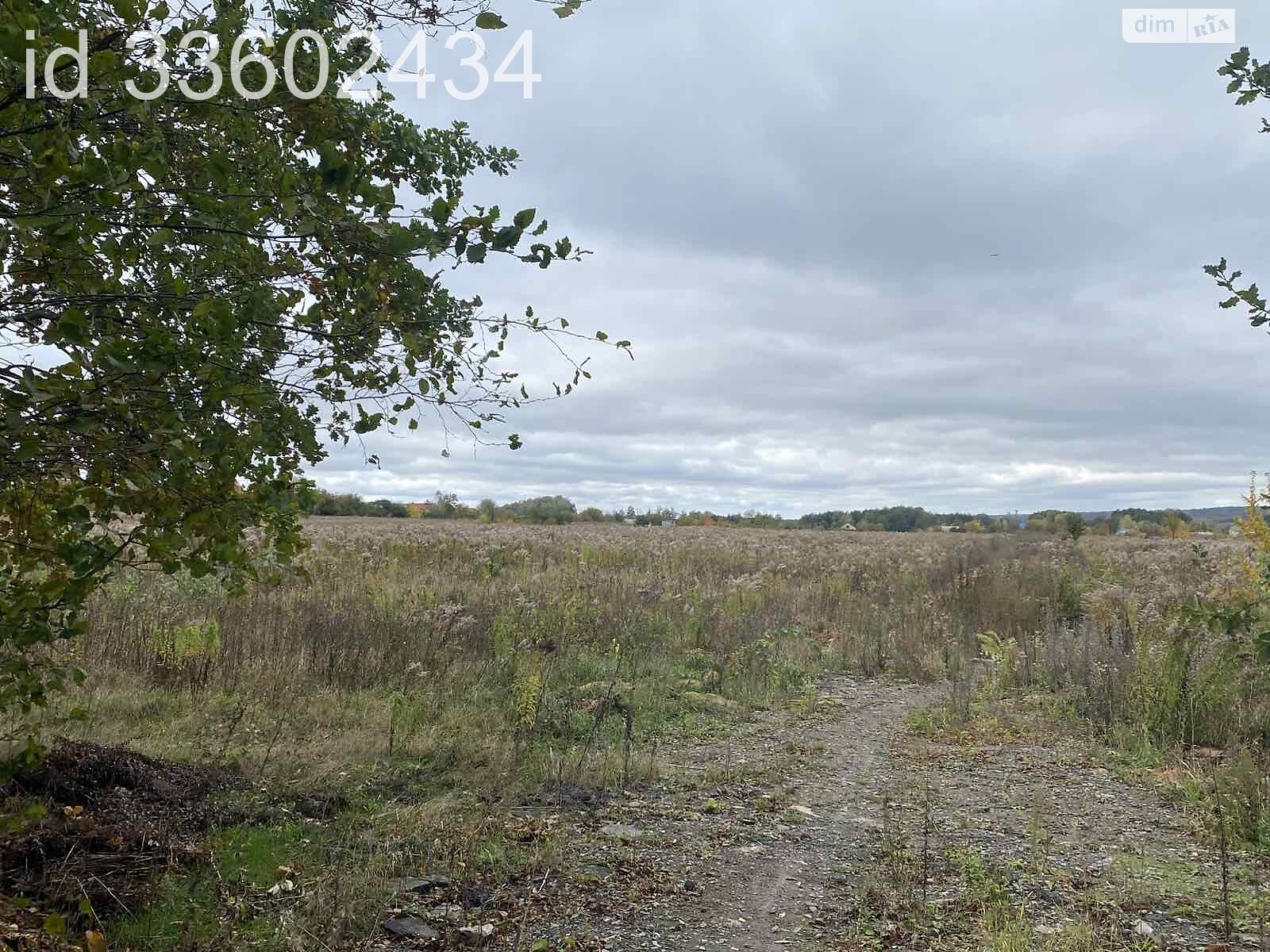 Земля під житлову забудову в Березині, площа 75 соток фото 1