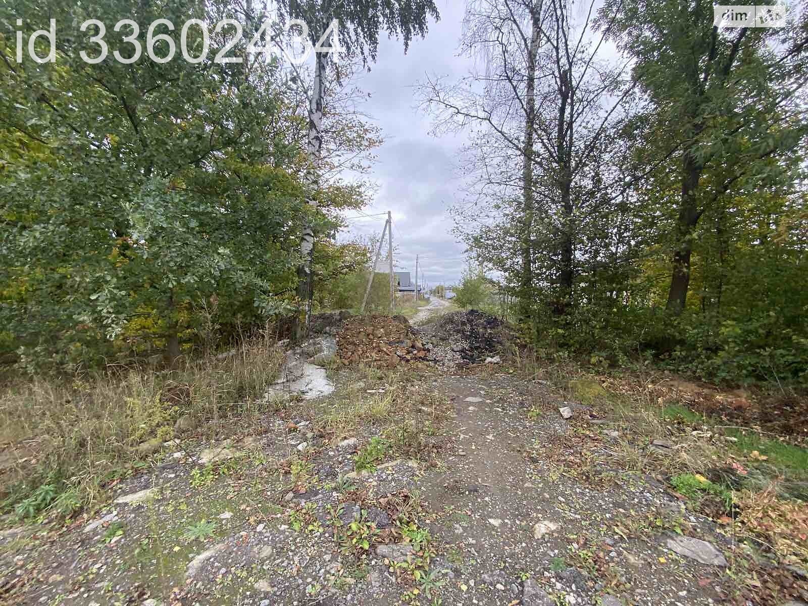 Земля під житлову забудову в Березині, площа 75 соток фото 1