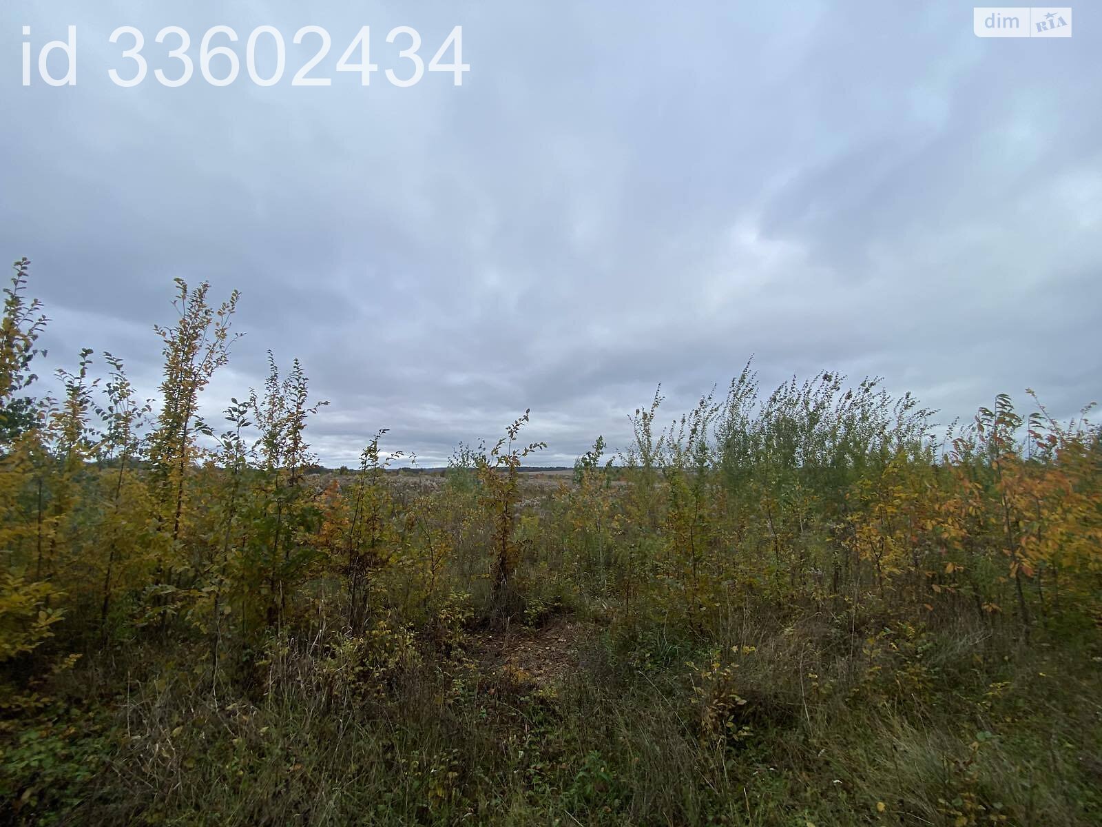 Земля під житлову забудову в Березині, площа 75 соток фото 1