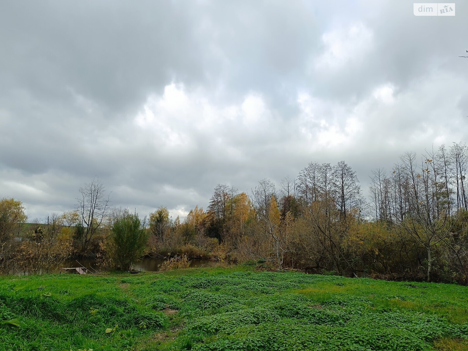Земельный участок под жилую застройку в Березиной, площадь 5 соток фото 1 Земельный участок под жилую застройку в Березиной, площадь 5 соток фото 1