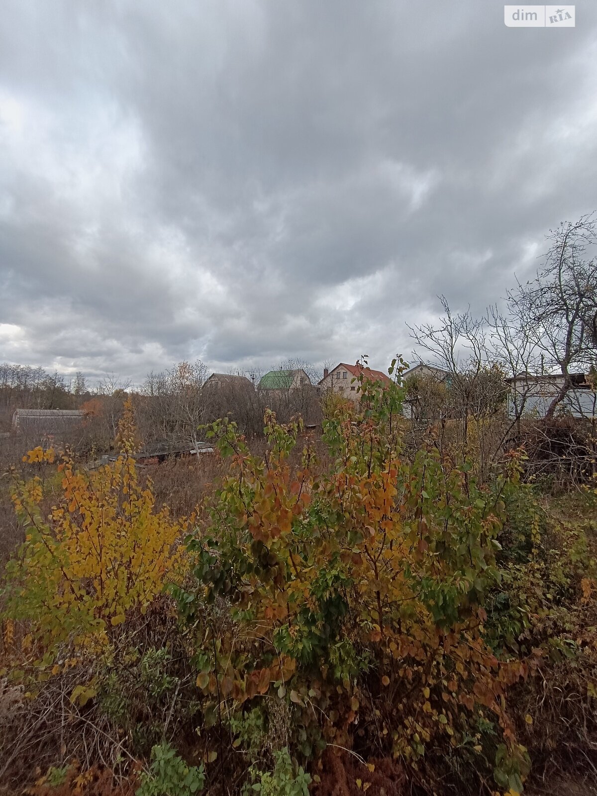 Земельный участок под жилую застройку в Березиной, площадь 5 соток фото 1 Земельный участок под жилую застройку в Березиной, площадь 5 соток фото 1