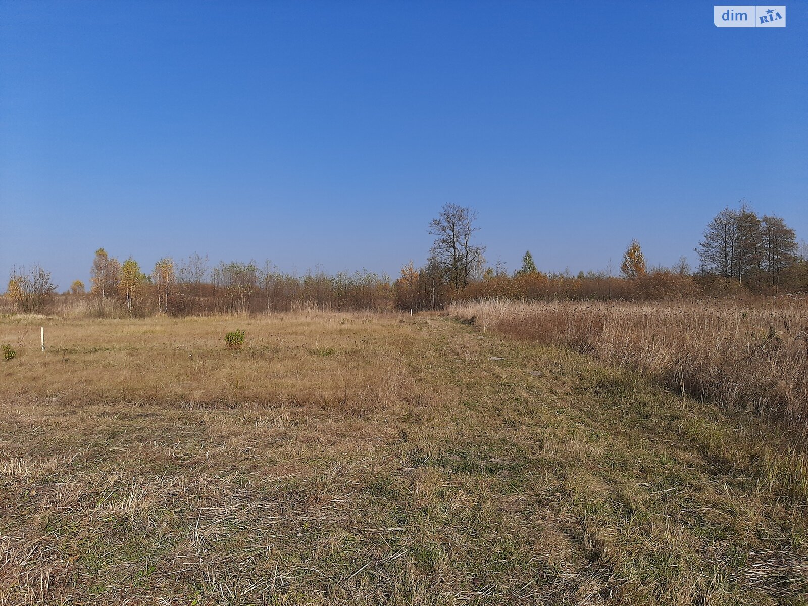 Земельна ділянка під житлову забудову в Березівці, площа 10 соток фото 1