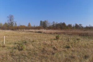 Земельна ділянка під житлову забудову в Березівці, площа 10 соток фото 2
