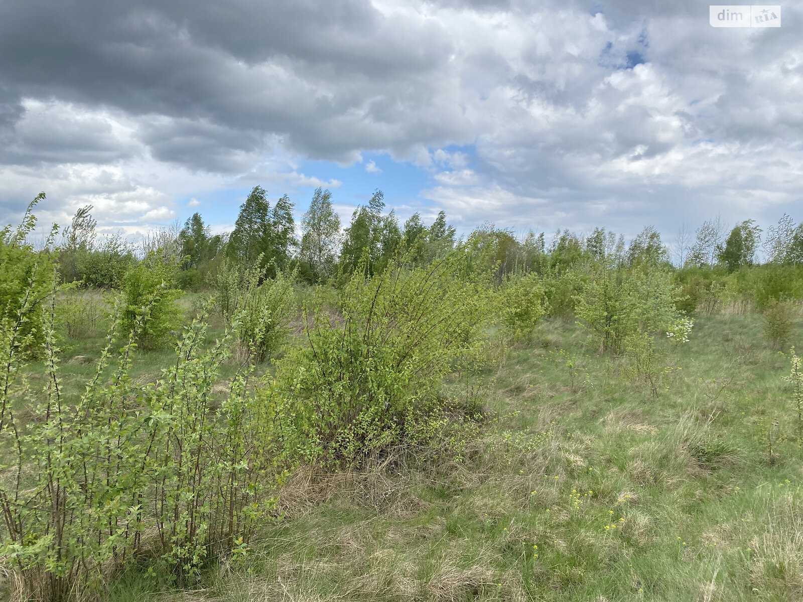 Земельна ділянка під житлову забудову в Березівці, площа 20.8 сотки фото 1