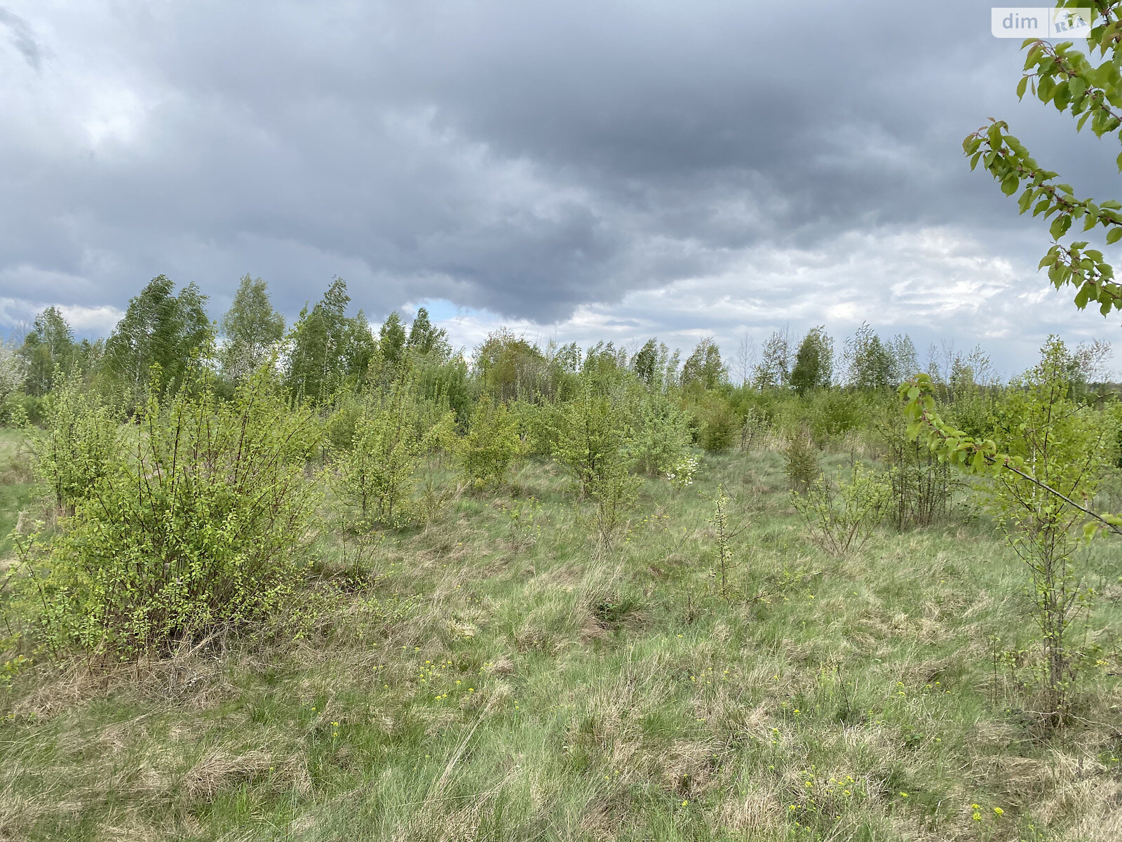 Земельна ділянка під житлову забудову в Березівці, площа 20.8 сотки фото 1