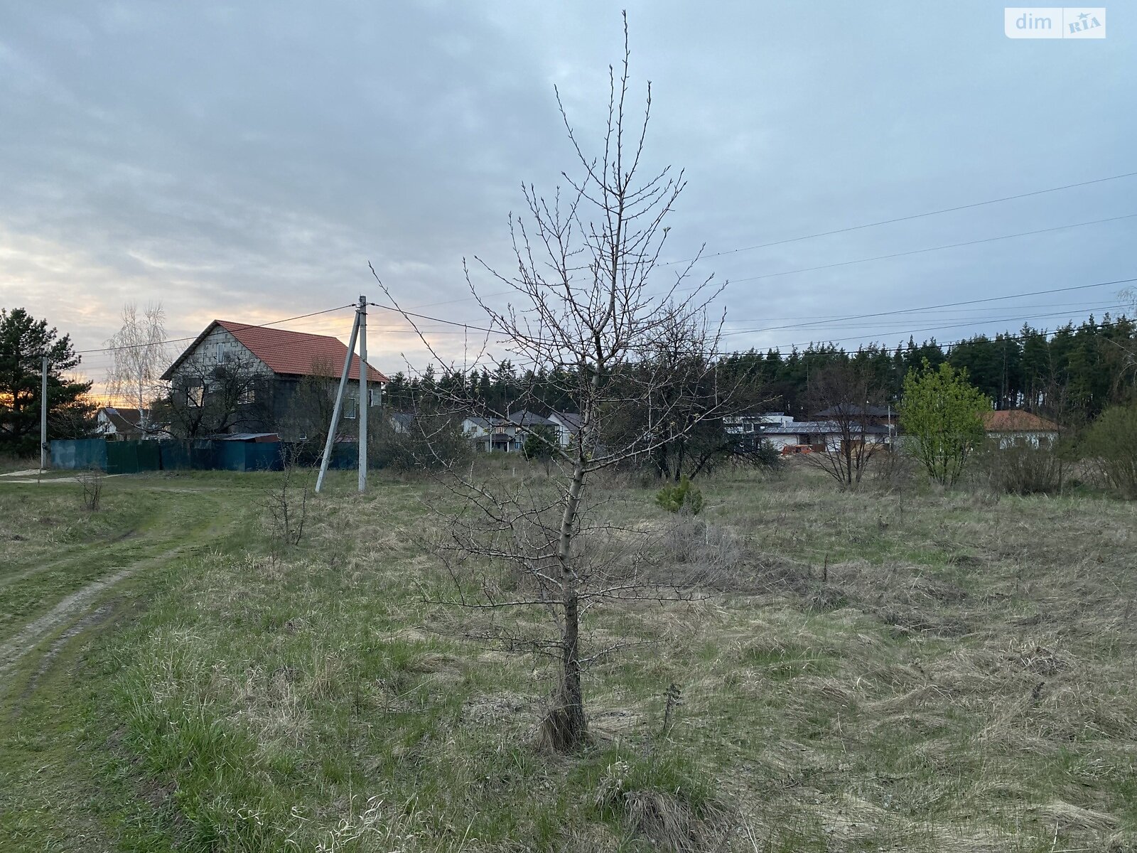 Земельна ділянка під житлову забудову в Березівці, площа 10 соток фото 1 Земельна ділянка під житлову забудову в Березівці, площа 10 соток фото 1