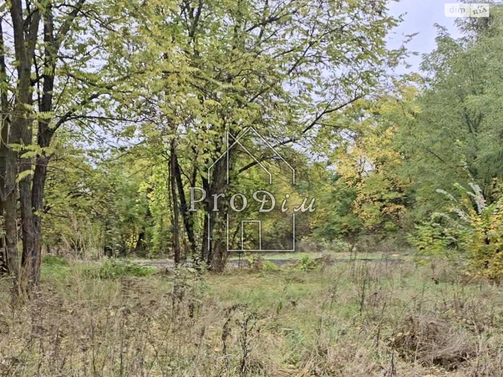 Земельный участок под жилую застройку в Безугловке, площадь 25 соток фото 1