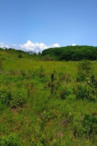 Земельна ділянка під житлову забудову в Біліій, площа 21 сотка фото 2