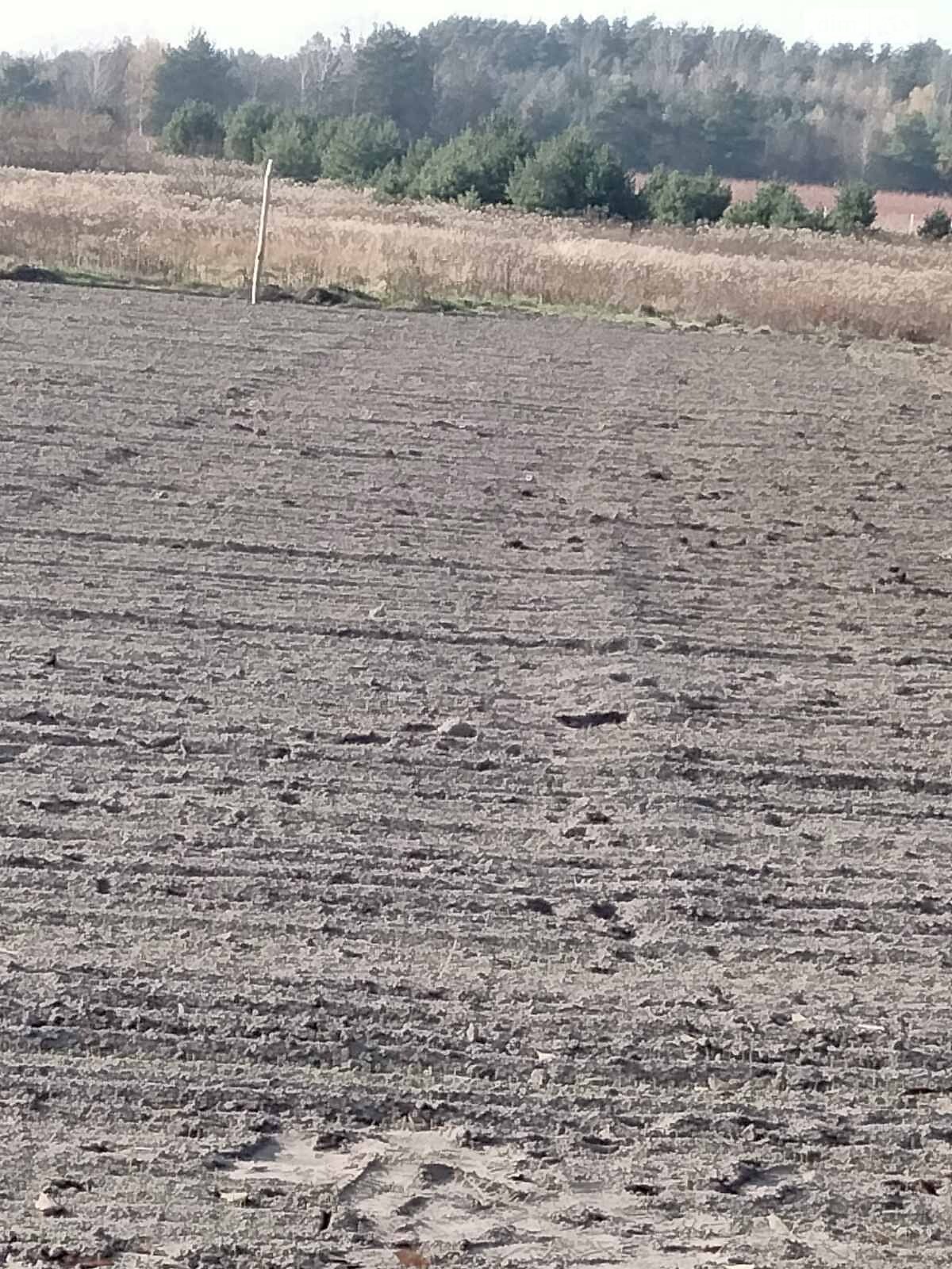 Земельна ділянка під житлову забудову в Блищиводи, площа 15 соток фото 1 Земельна ділянка під житлову забудову в Блищиводи, площа 15 соток фото 1