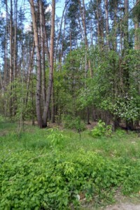 Земельный участок под жилую застройку в Блиставице, площадь 11 соток фото 2