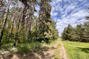 Земельна ділянка під житлову забудову в Блиставиці, площа 25 соток фото 2