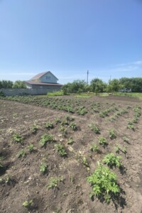 Земельный участок под жилую застройку в Блощинцах, площадь 14.89 сотки фото 2