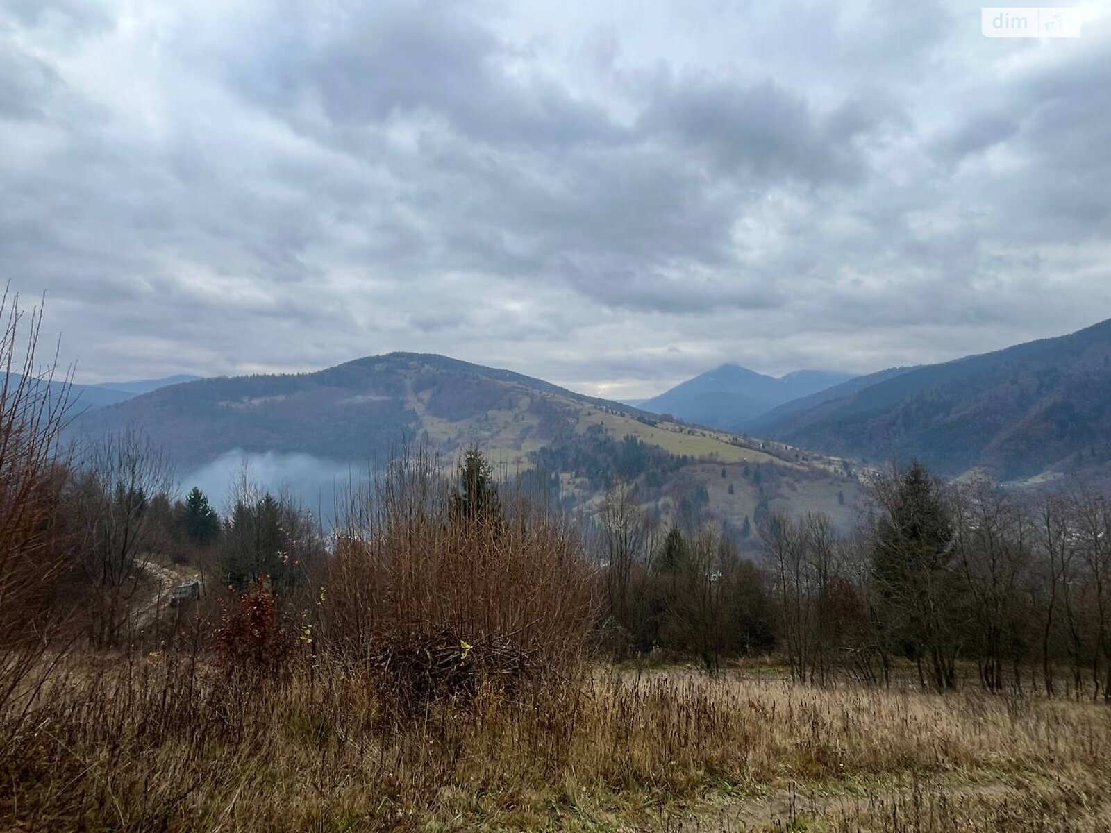 Земельна ділянка під житлову забудову в Богдані, площа 25 соток фото 1