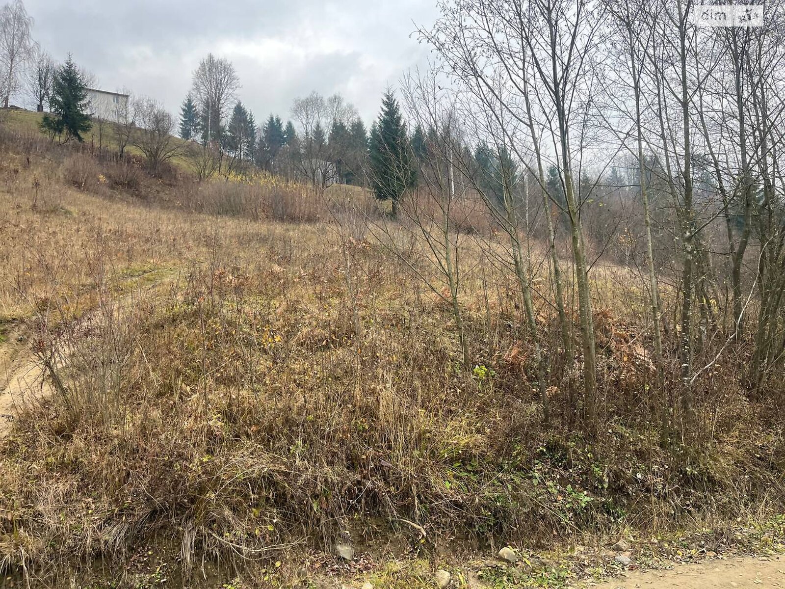 Земельна ділянка під житлову забудову в Богдані, площа 25 соток фото 1